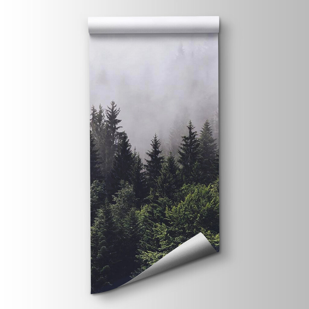 Niebla sobre el bosque — vista del producto