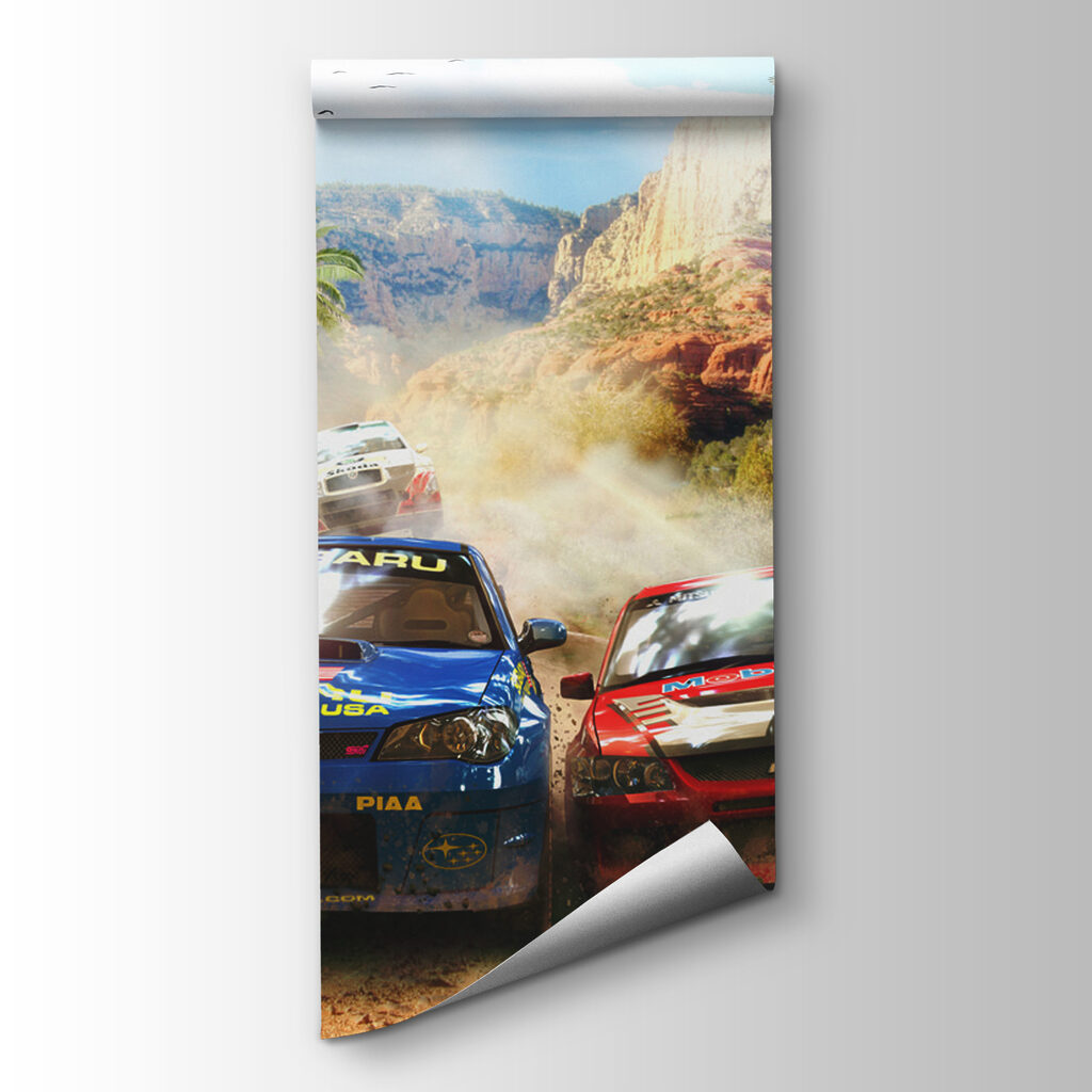 Rally por camino polvoriento — vista del producto