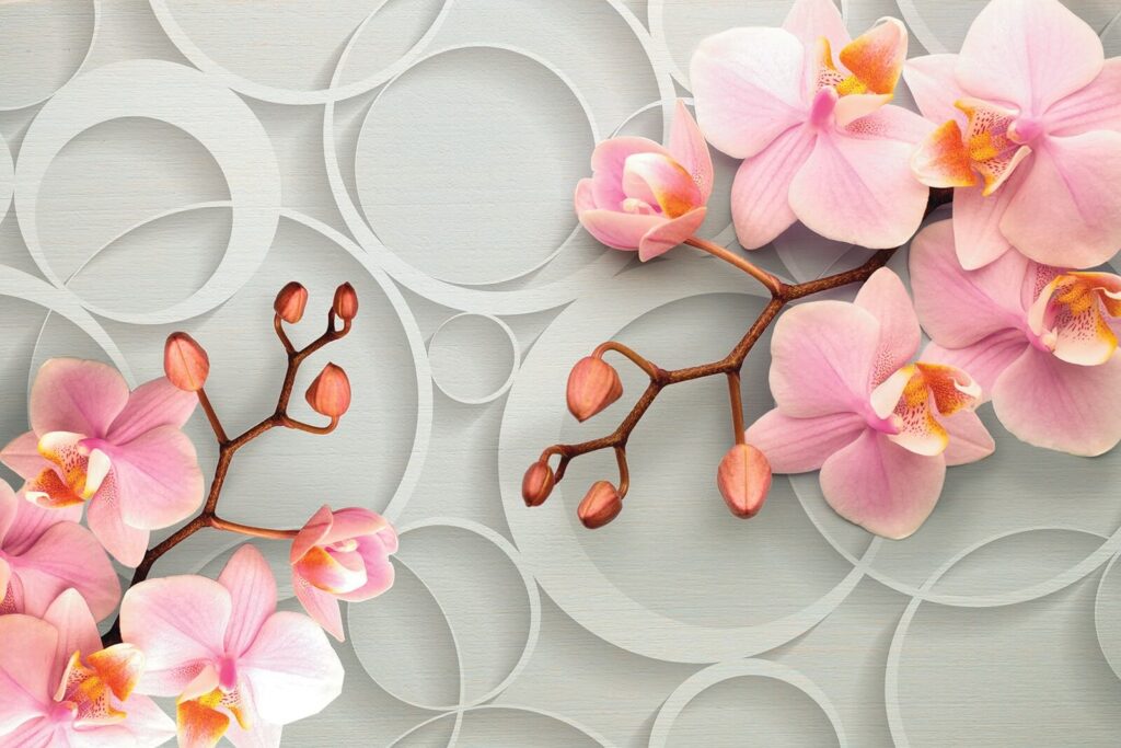 Orquídea rosa entre círculos — diseño completo