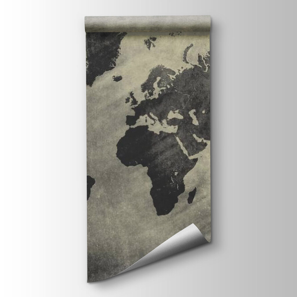 Mapa mundial en gris — vista del producto