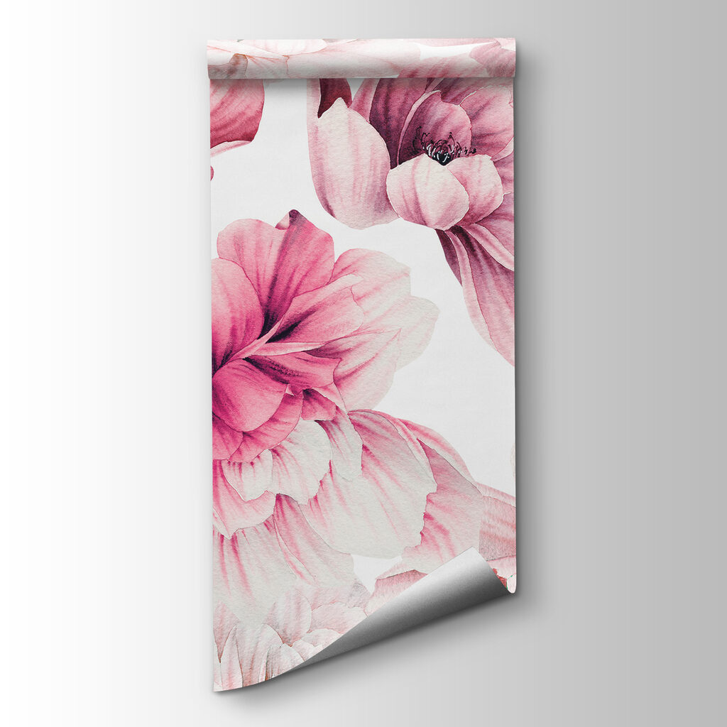 Dalias rosas sobre blanco — vista del producto