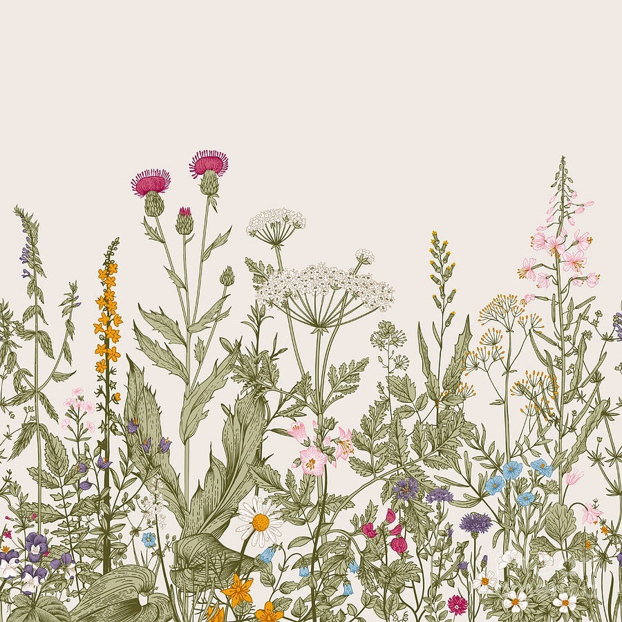 Líneas botánicas de prado — diseño completo