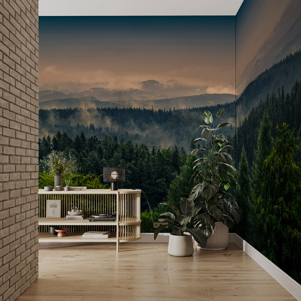 Última luz sobre pinos — interior 5
