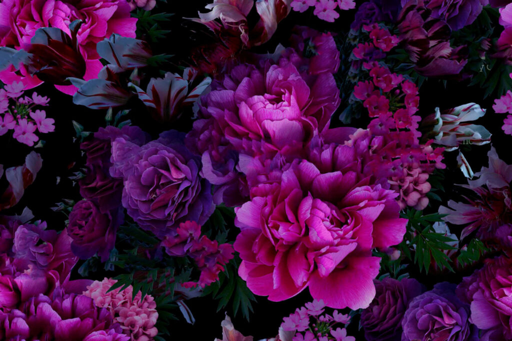 Flores moradas, sombra profunda — diseño completo