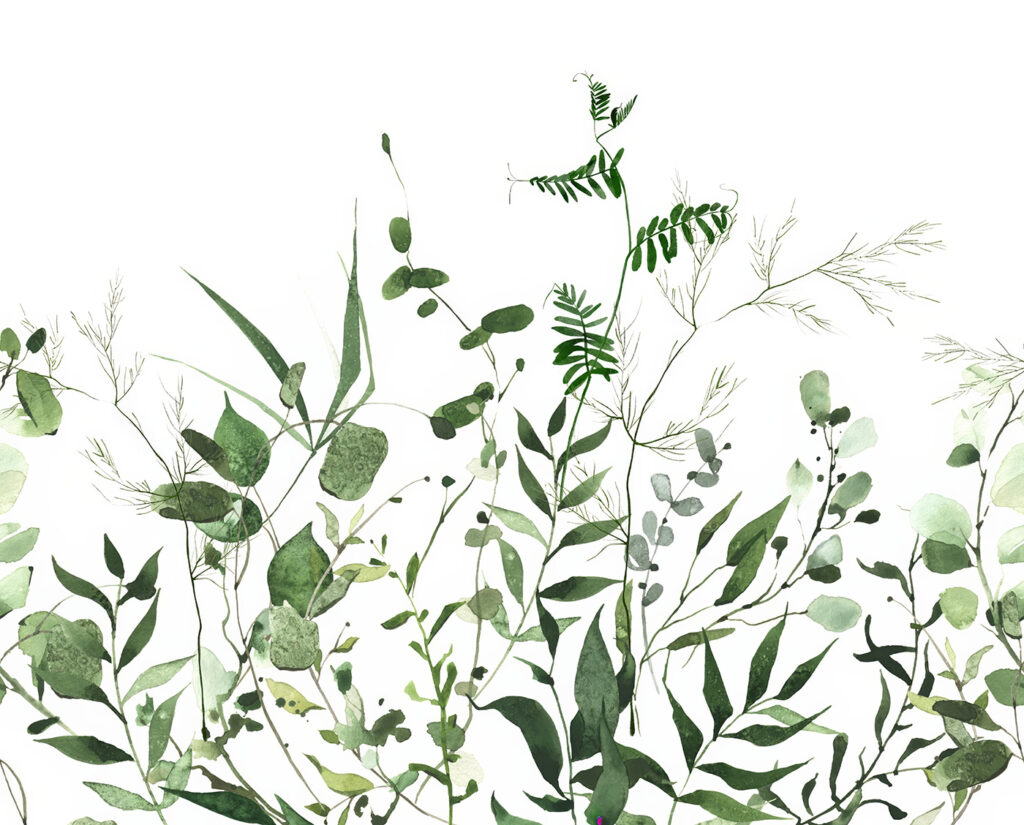 Tallos verdes desde abajo — diseño completo