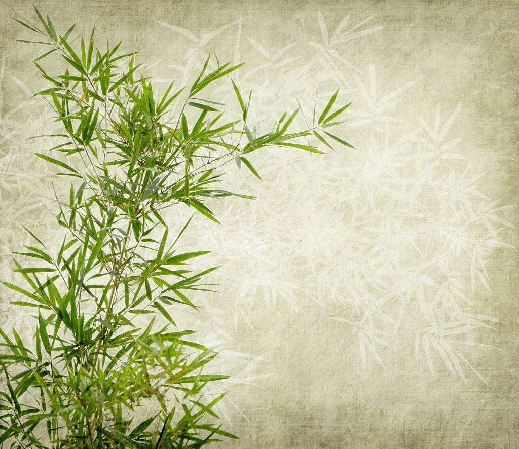 Bambú en verdes suaves — diseño completo