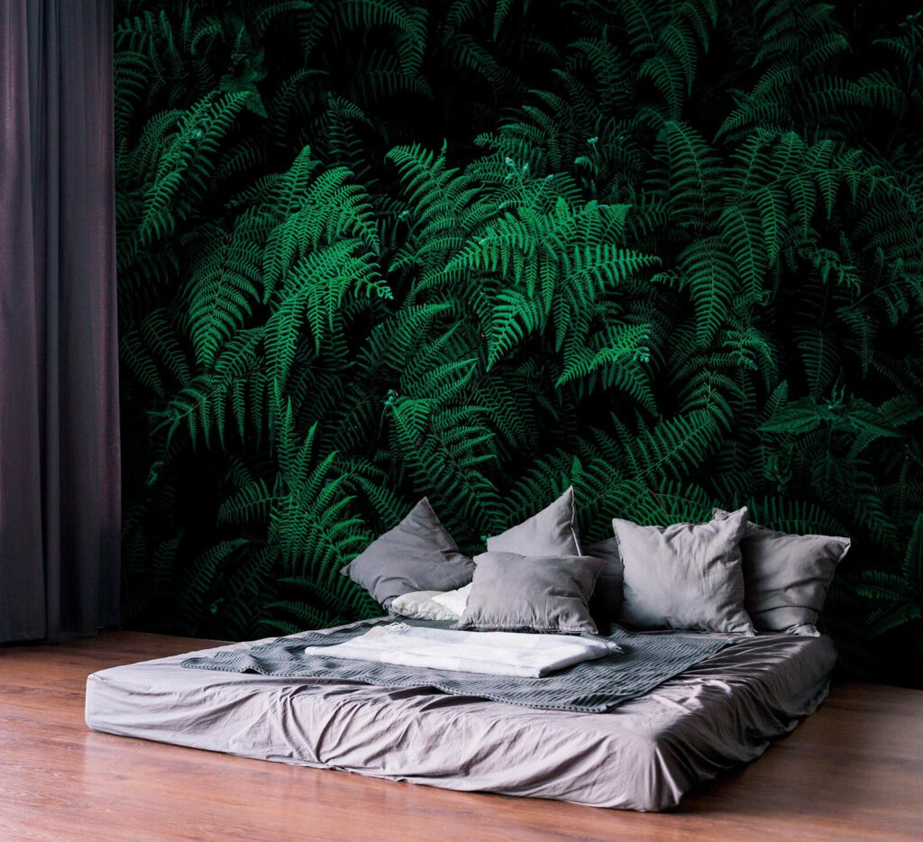 Helechos verdes en sombra — interior 2