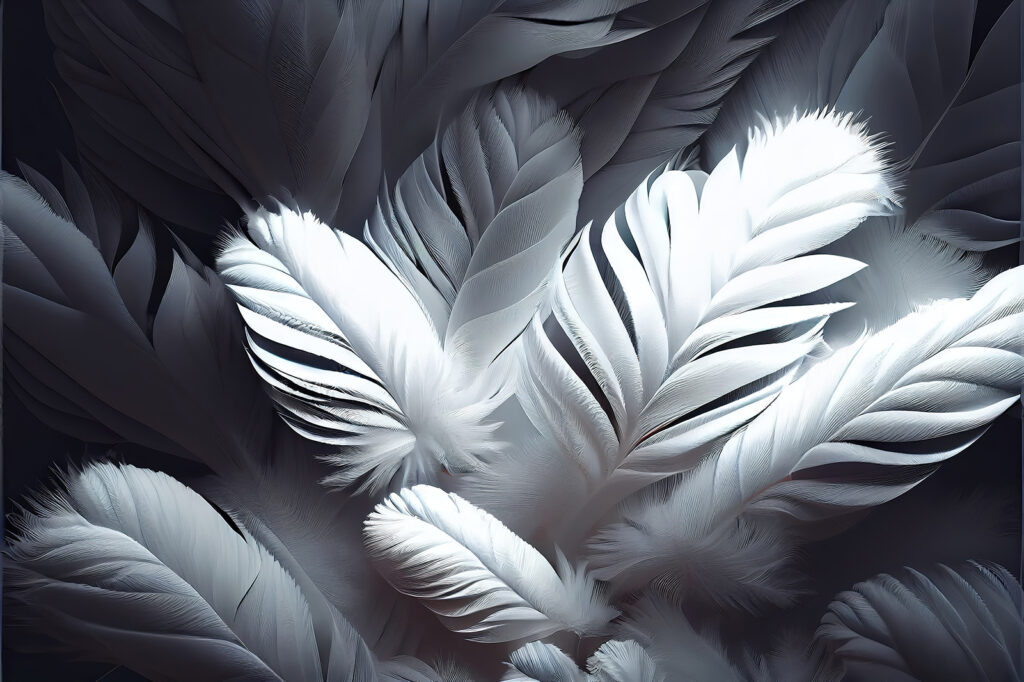 Racimo de plumas blancas — diseño completo