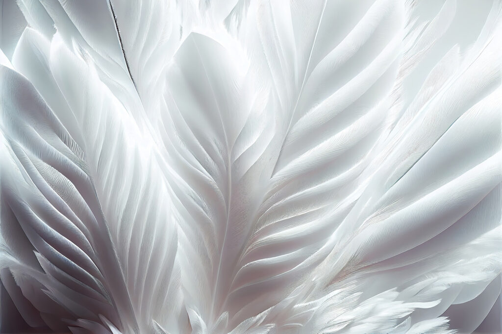 Plumas blancas de cerca — diseño completo
