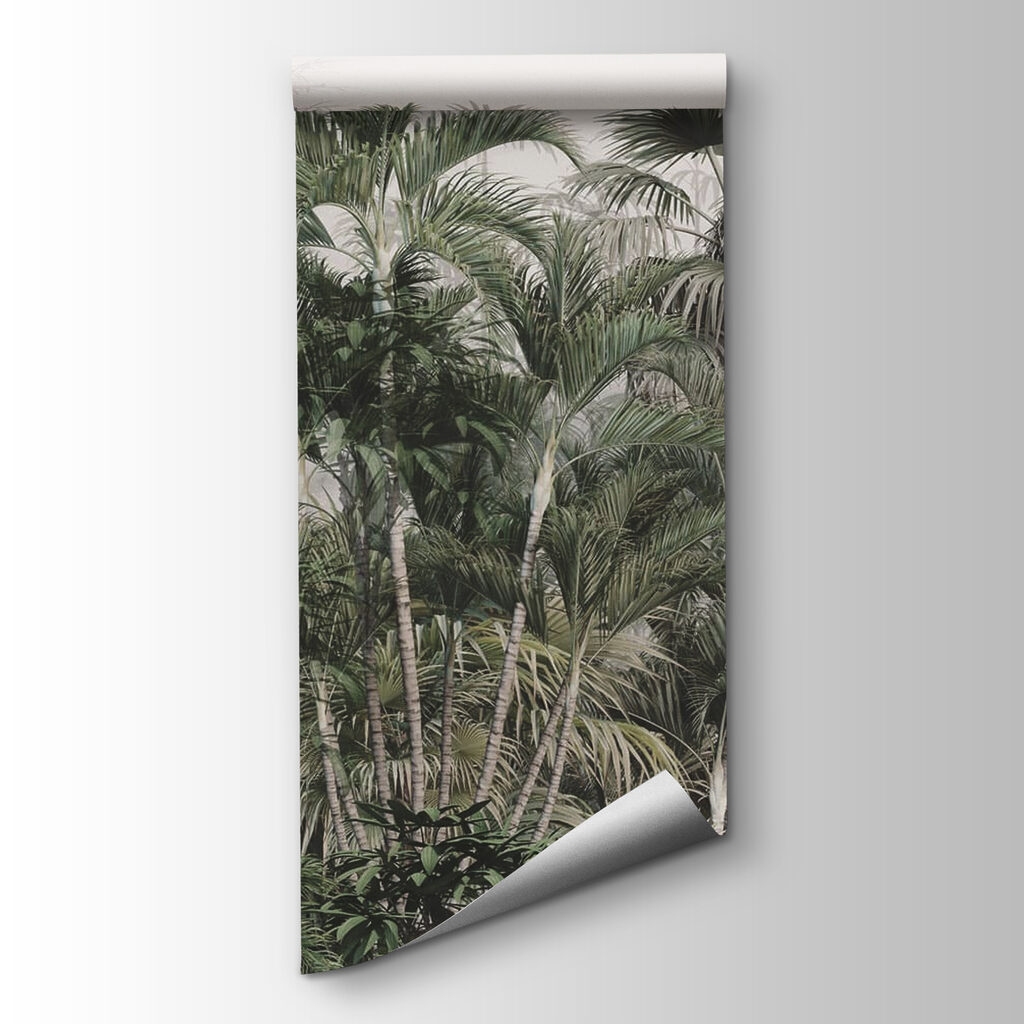 Palmeras sobre matorral denso — vista del producto