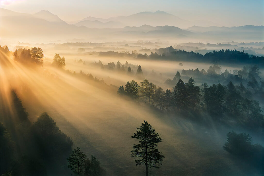 Rayos sobre bosque nebuloso — diseño completo