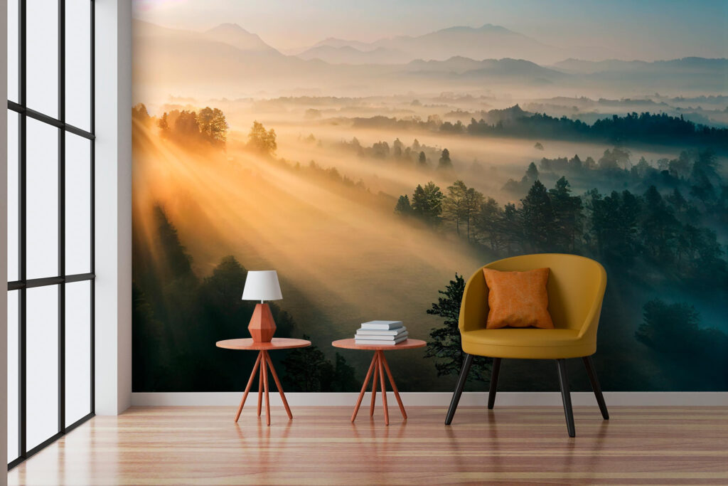 Rayos sobre bosque nebuloso — interior 2