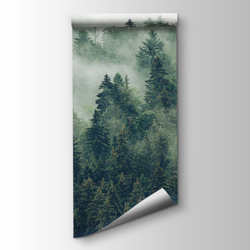 Pinos en niebla blanca — vista del producto