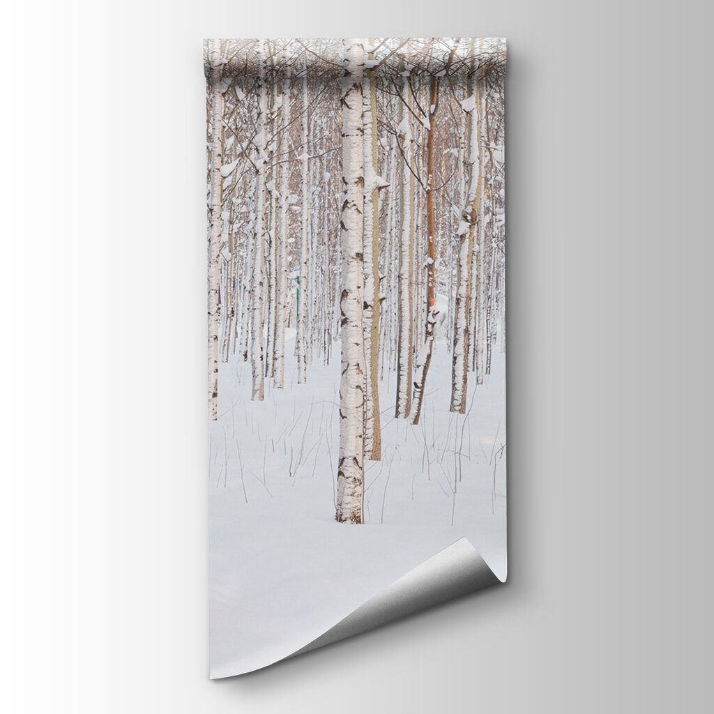 Abedules en la nieve — vista del producto