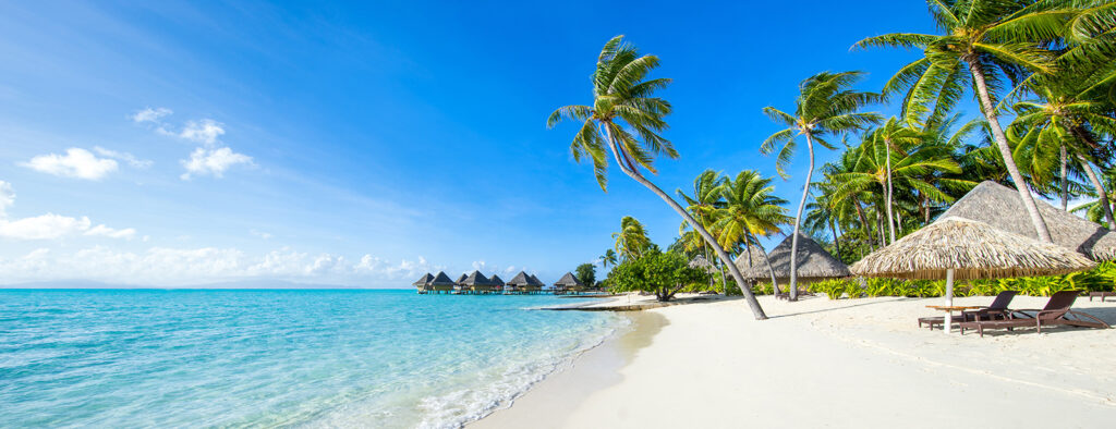 Playa tropical con palmeras — diseño completo