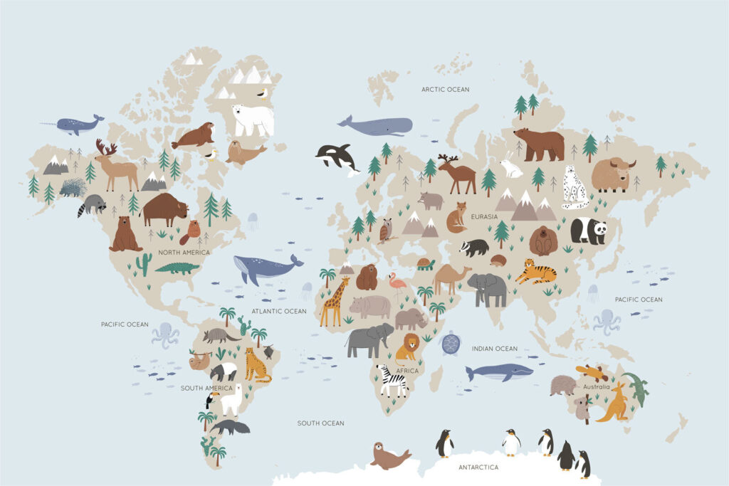 Animales del mundo — diseño completo