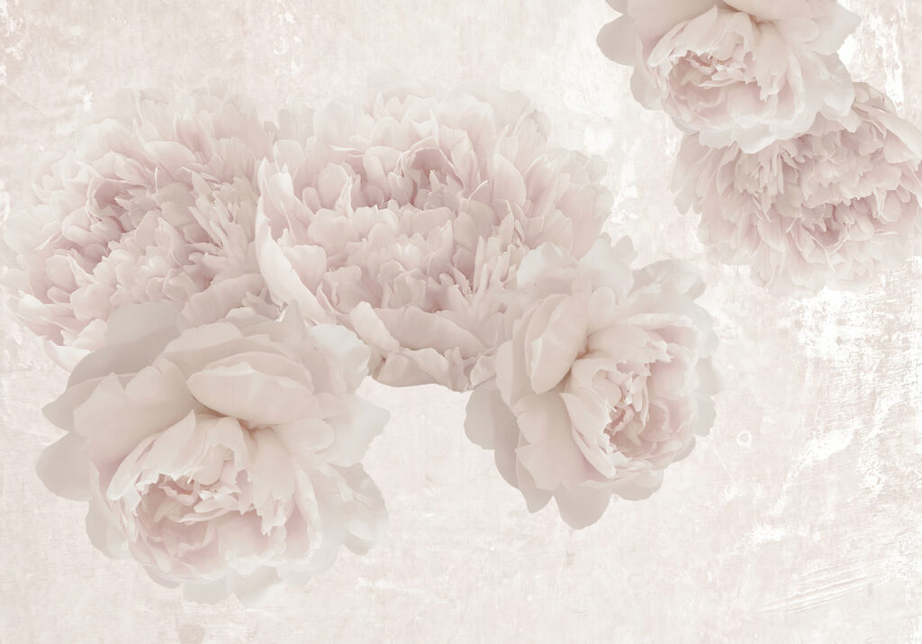 Rosas en luz difuminada — diseño completo