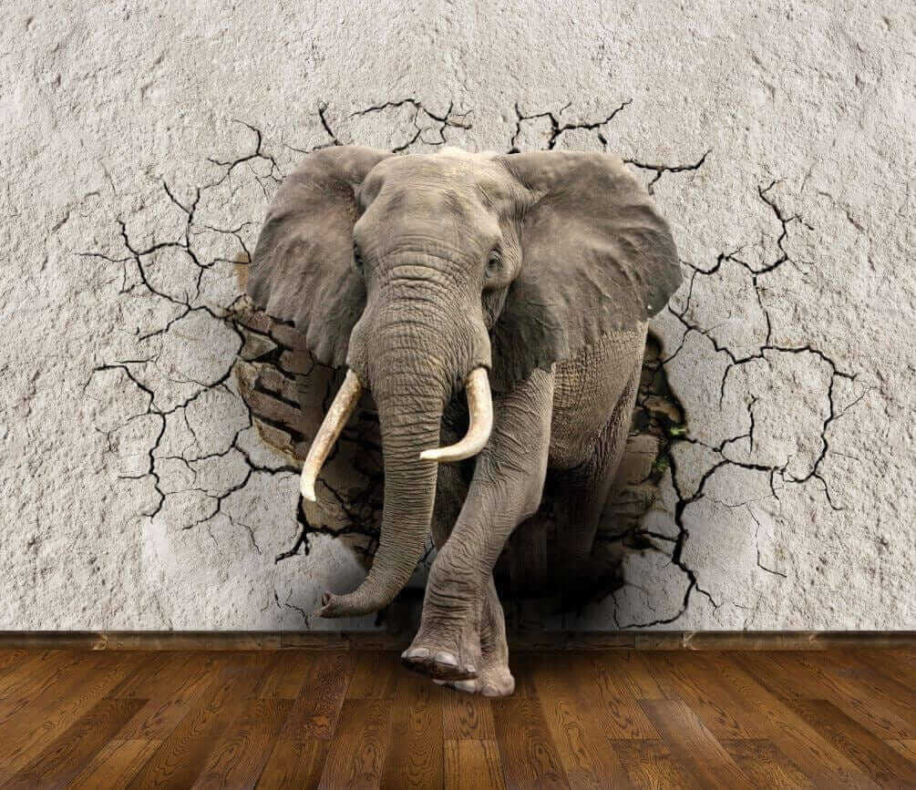 Elefante en muro agrietado — diseño completo