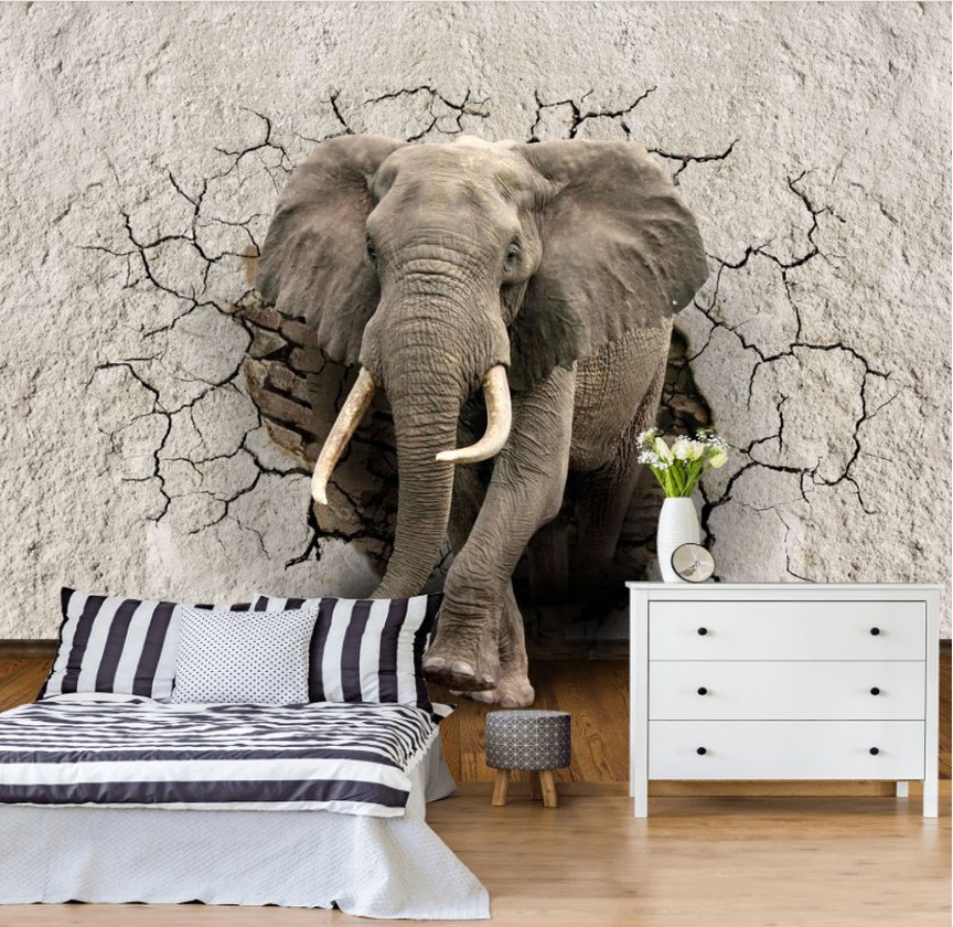 Elefante en muro agrietado — interior 1