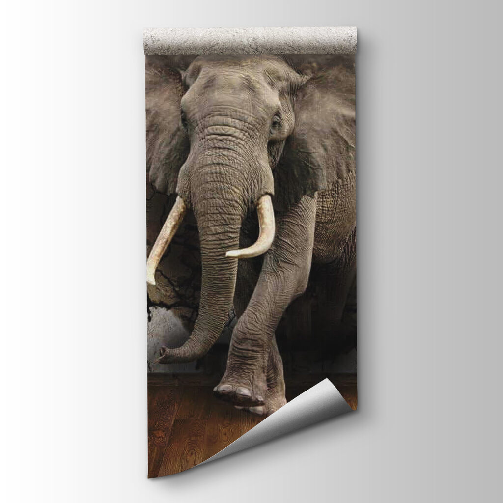 Elefante en muro agrietado — vista del producto