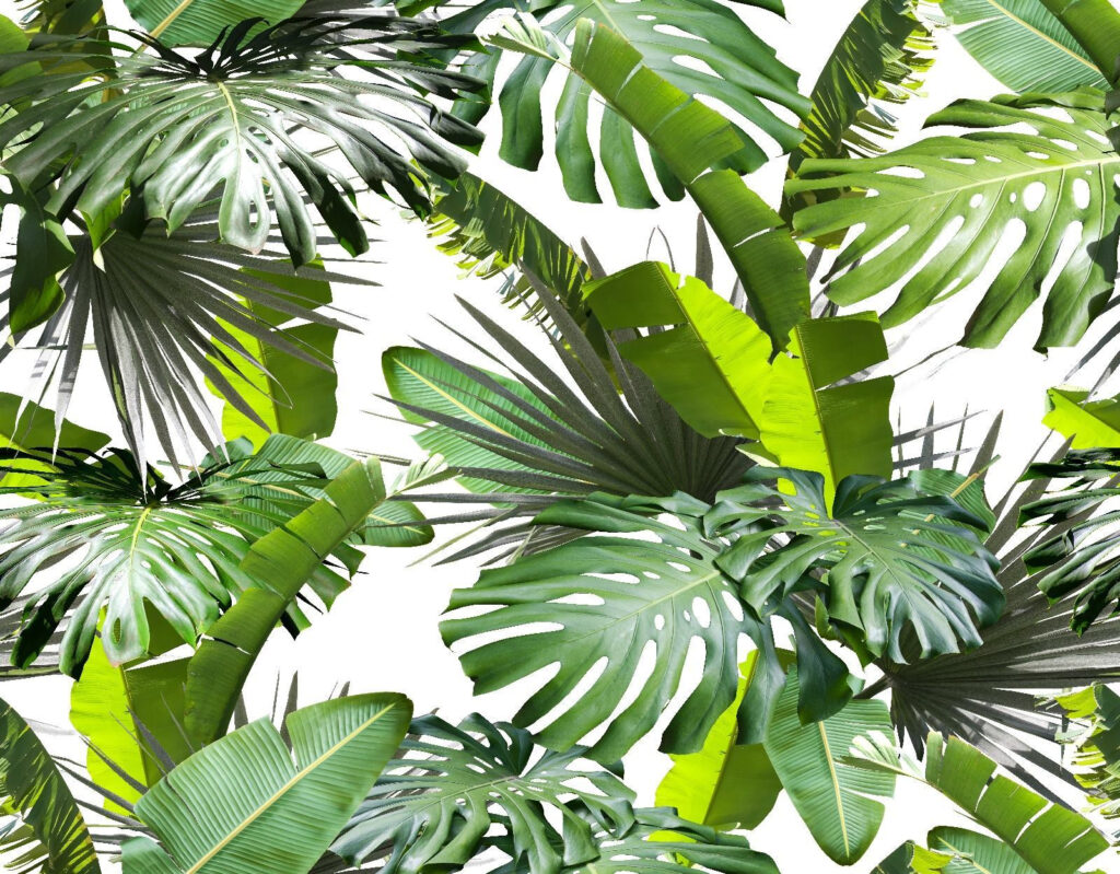 Hojas de selva iluminadas — diseño completo