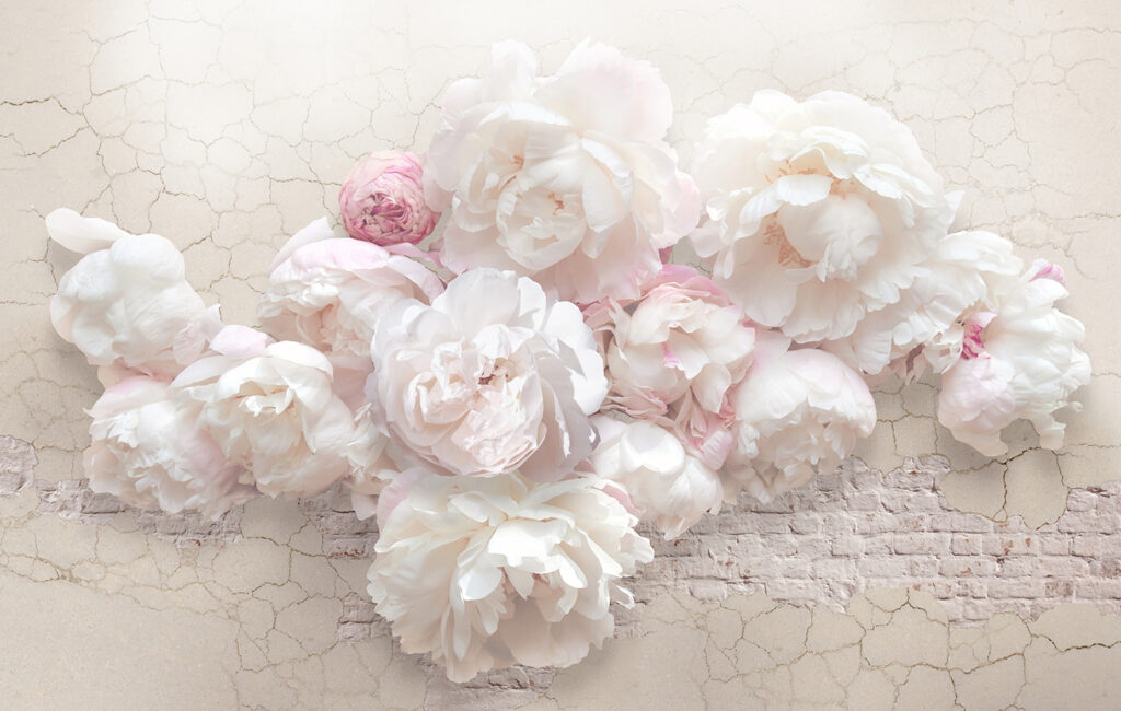 Rosas sobre blanco agrietado — diseño completo