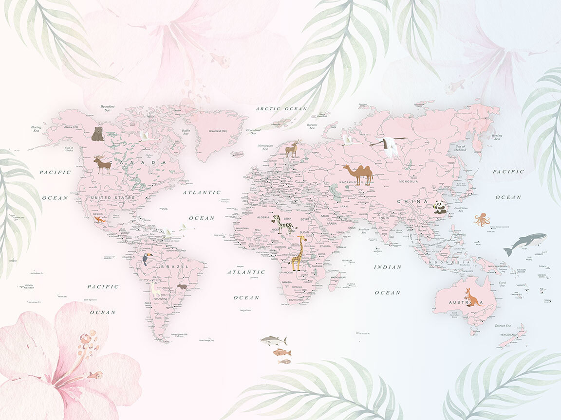 Mapa del mundo rosa — diseño completo