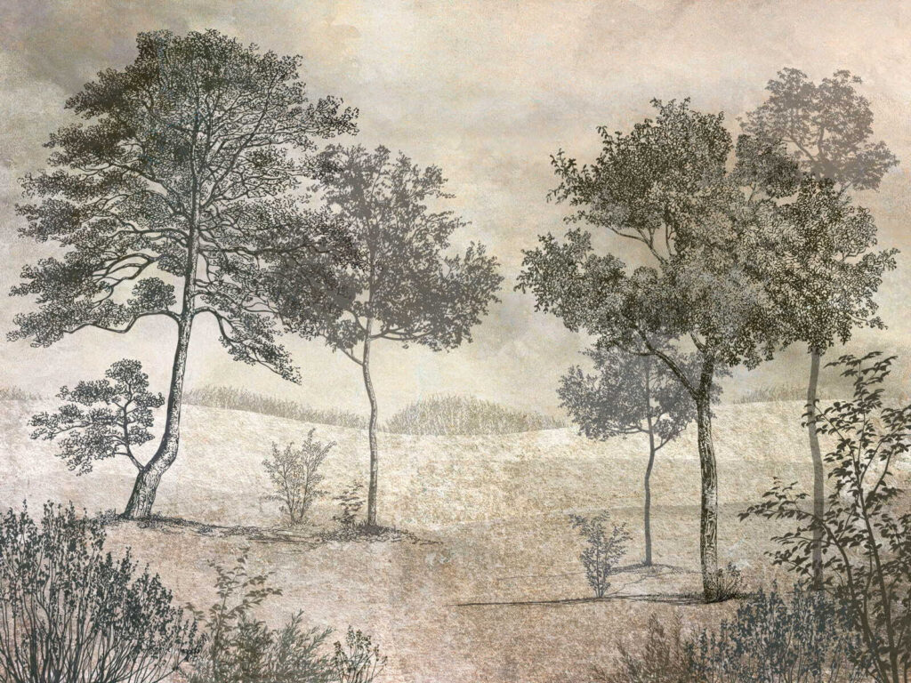Paisaje de finos trazos — diseño completo