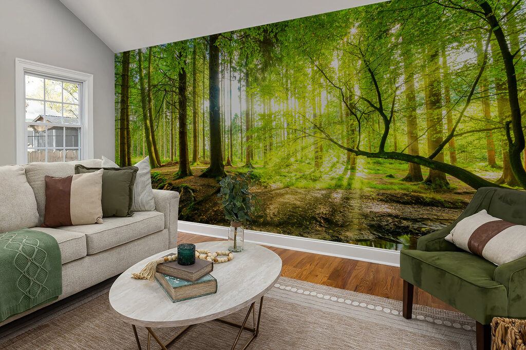 Arroyo en el bosque — interior 6