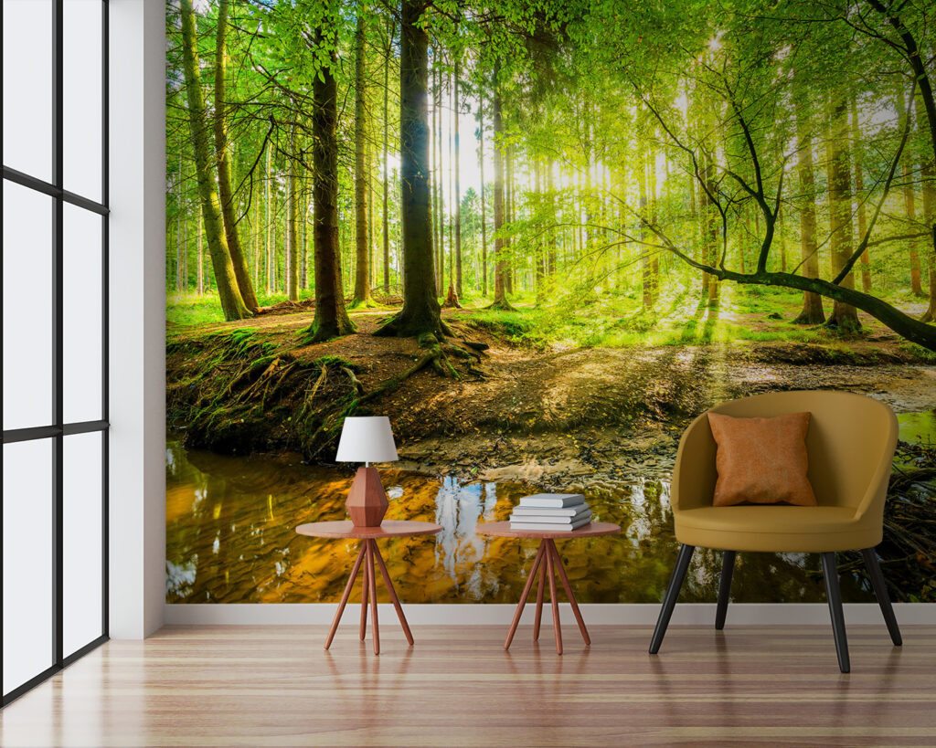 Arroyo en el bosque — interior 2