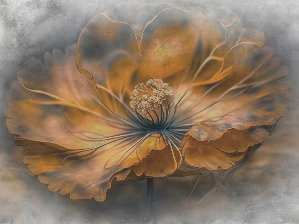 Flor en luz ámbar — diseño completo