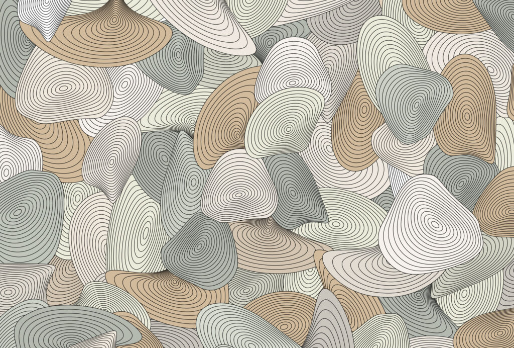 Formas redondas con contornos — diseño completo