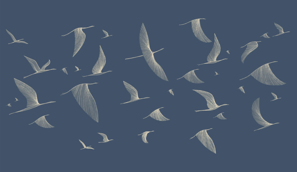 Pájaros en líneas azules — diseño completo