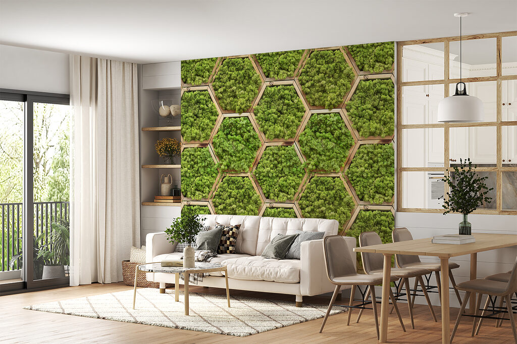Musgo en hexágonos — interior 4