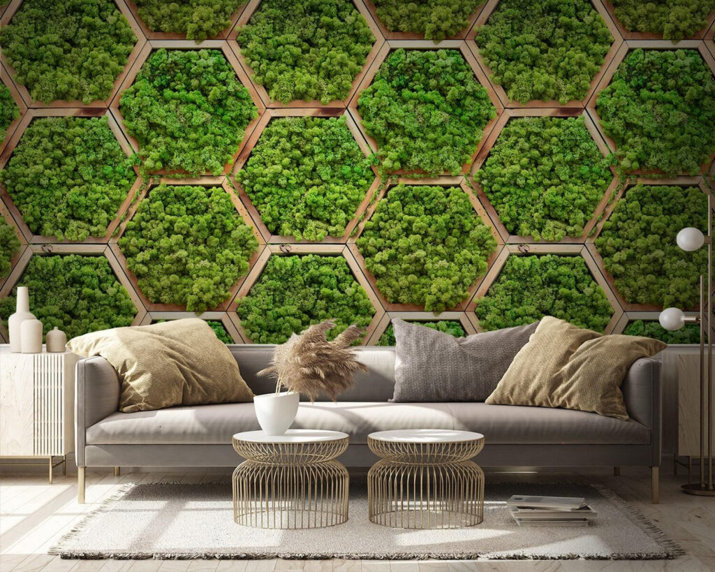 Musgo en hexágonos — interior 3
