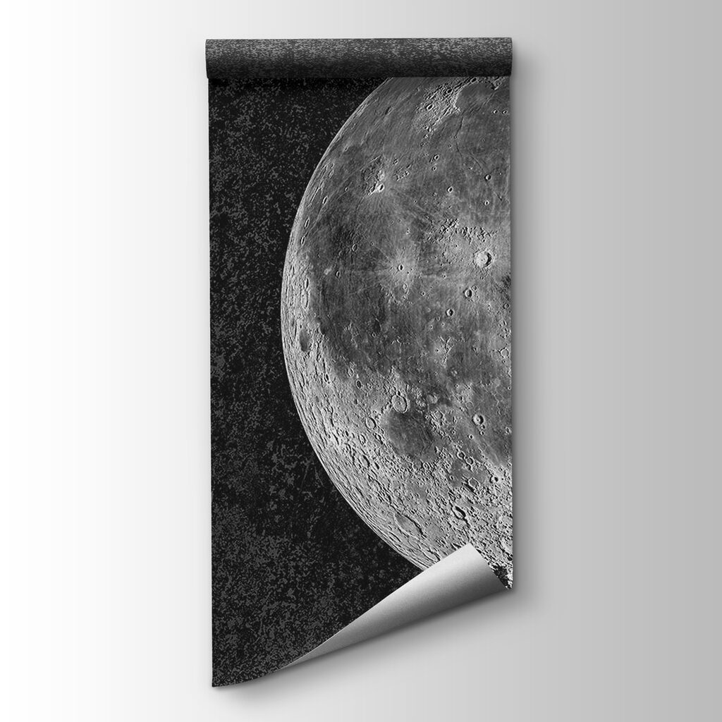 Luna sobre negro nocturno — vista del producto