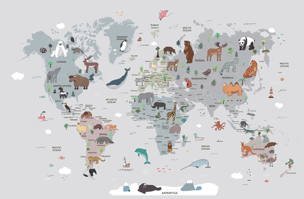Mapa ilustrado sobre gris — diseño completo