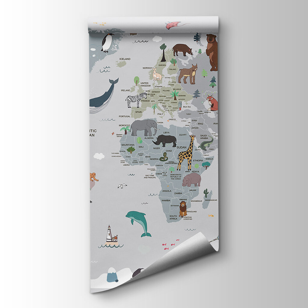 Mapa ilustrado sobre gris — vista del producto
