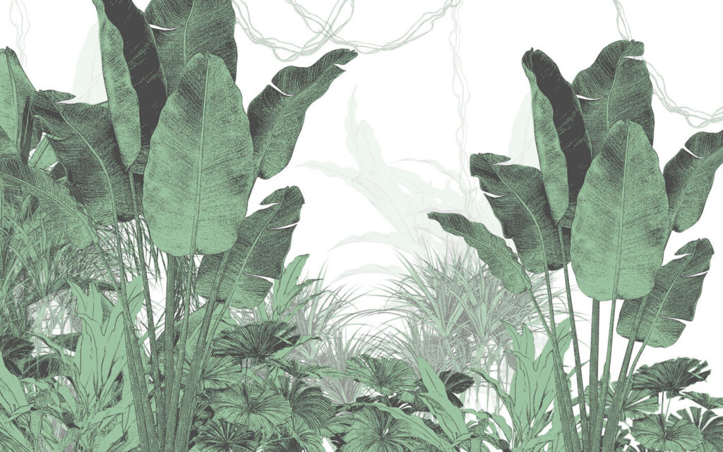Hojas de plátano verdes — diseño completo