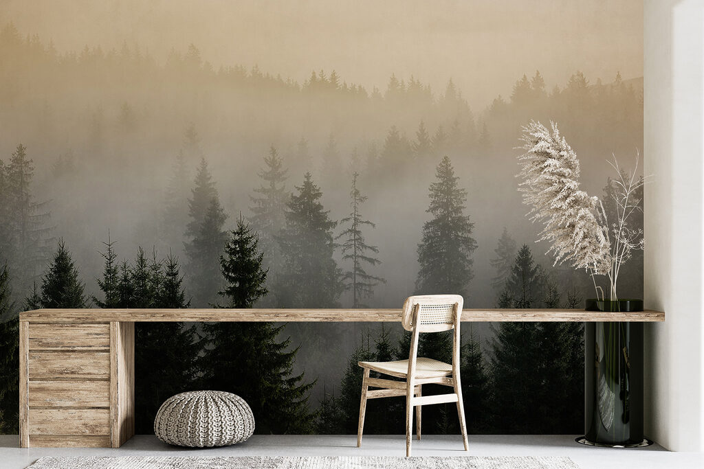 Bosque de luz matinal — interior 5
