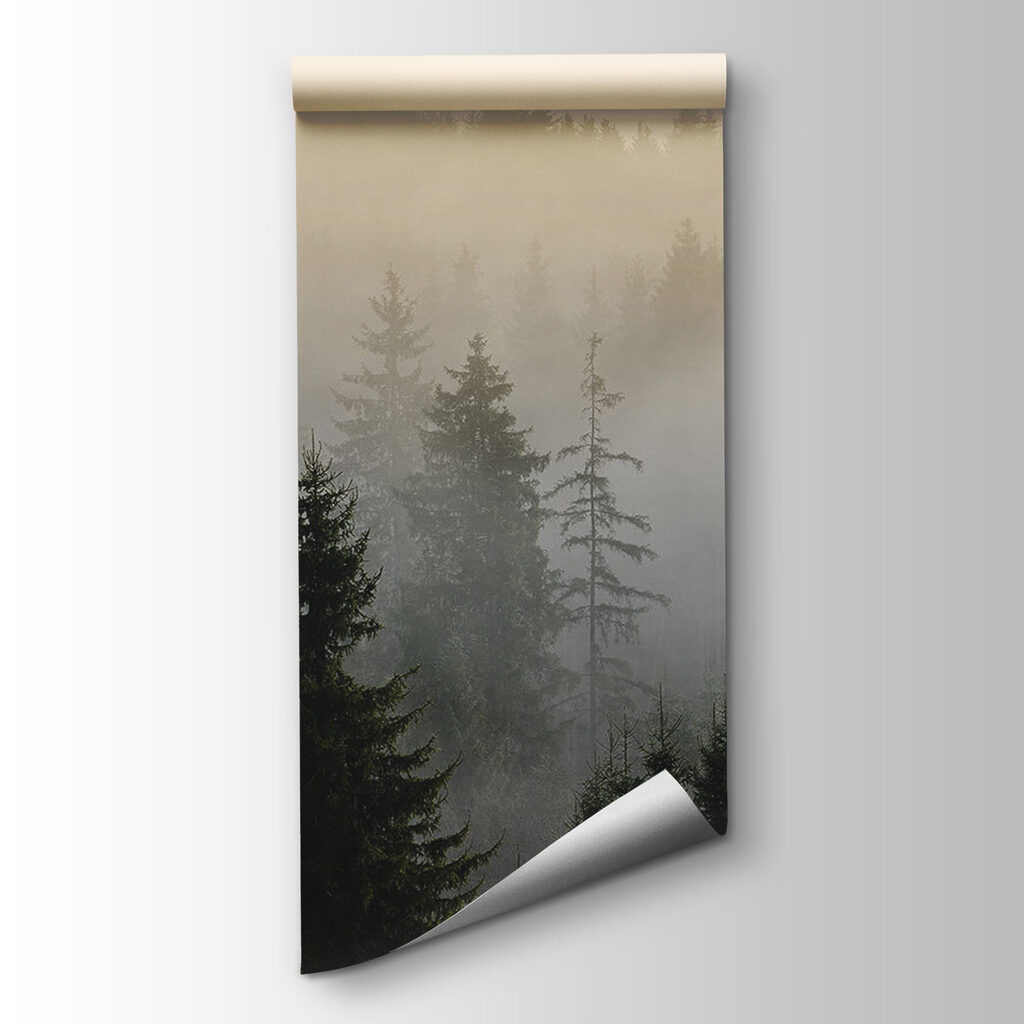 Bosque de luz matinal — vista del producto
