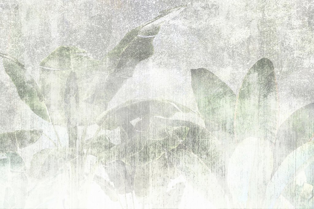 Hoja tras niebla blanca — diseño completo