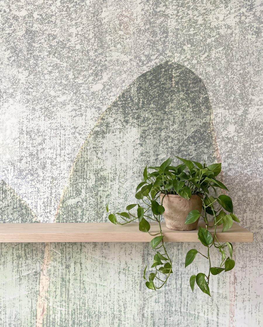 Hoja tras niebla blanca — detalle