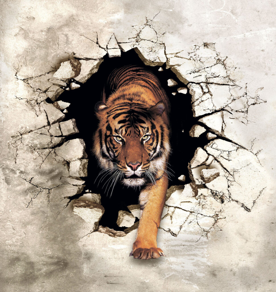Tigre saliendo del muro — diseño completo