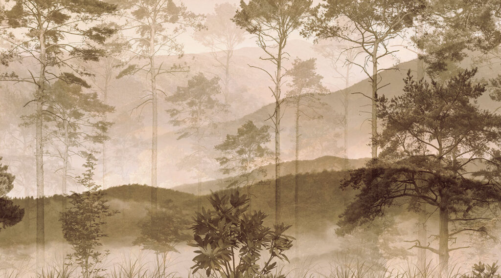Linde del bosque — diseño completo