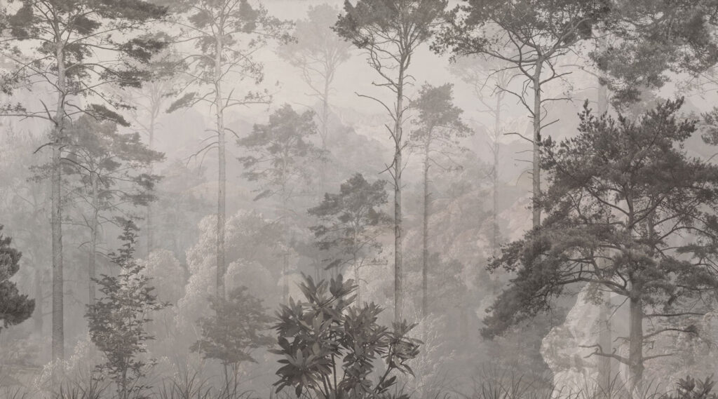 Bosque en grabado fino — diseño completo