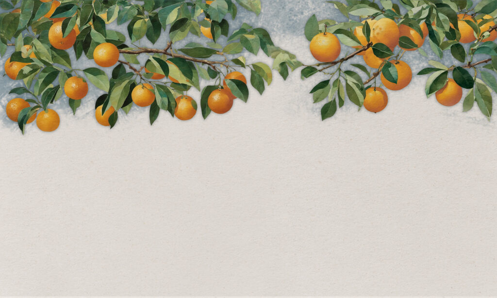 Ramas de naranjas — diseño completo