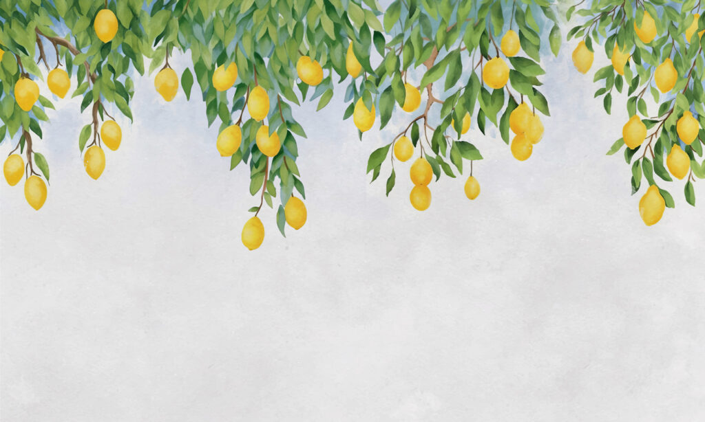 Limones sobre gris — diseño completo