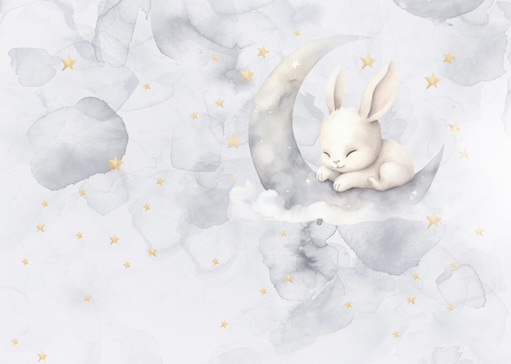 Conejito en la luna — diseño completo