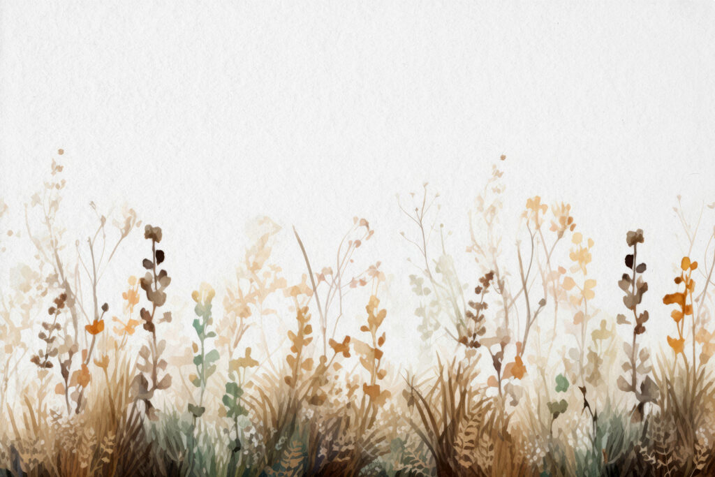 Flores silvestres secas — diseño completo